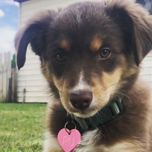 Meet your Posher, Karin